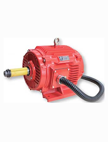 江苏品牌风机水泵电动机非标定制