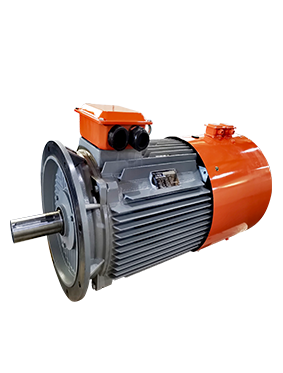 CB series permanent magnet synchronous motor